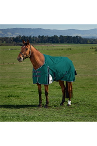 2025 Weatherbeeta Comfitec Plus Dynamic Turnout 1029009 - Forest Green